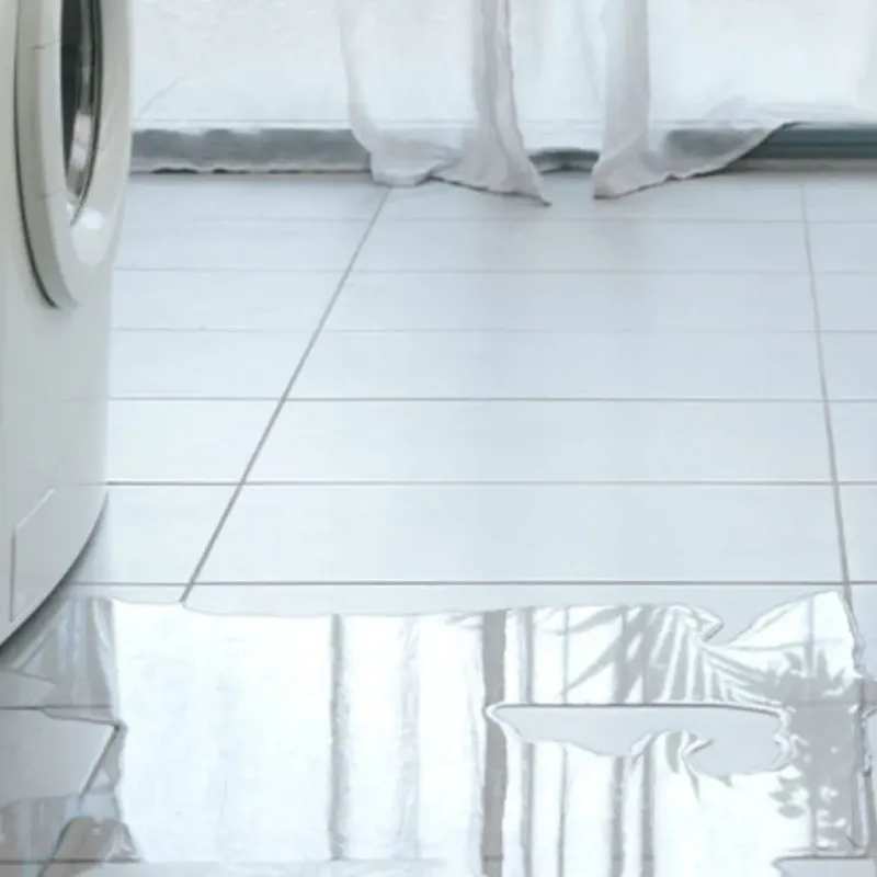 Appliance Leak Cleanup in Clintonville, WI
