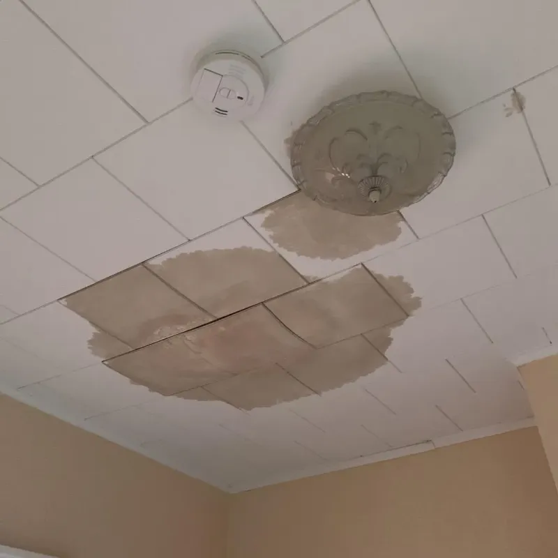 Ceiling Water Damage Repair in Clintonville, WI
