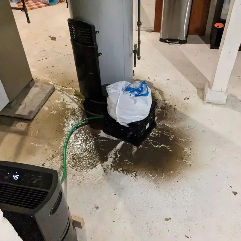 Sewage Backup Cleanup Service in Clintonville, WI